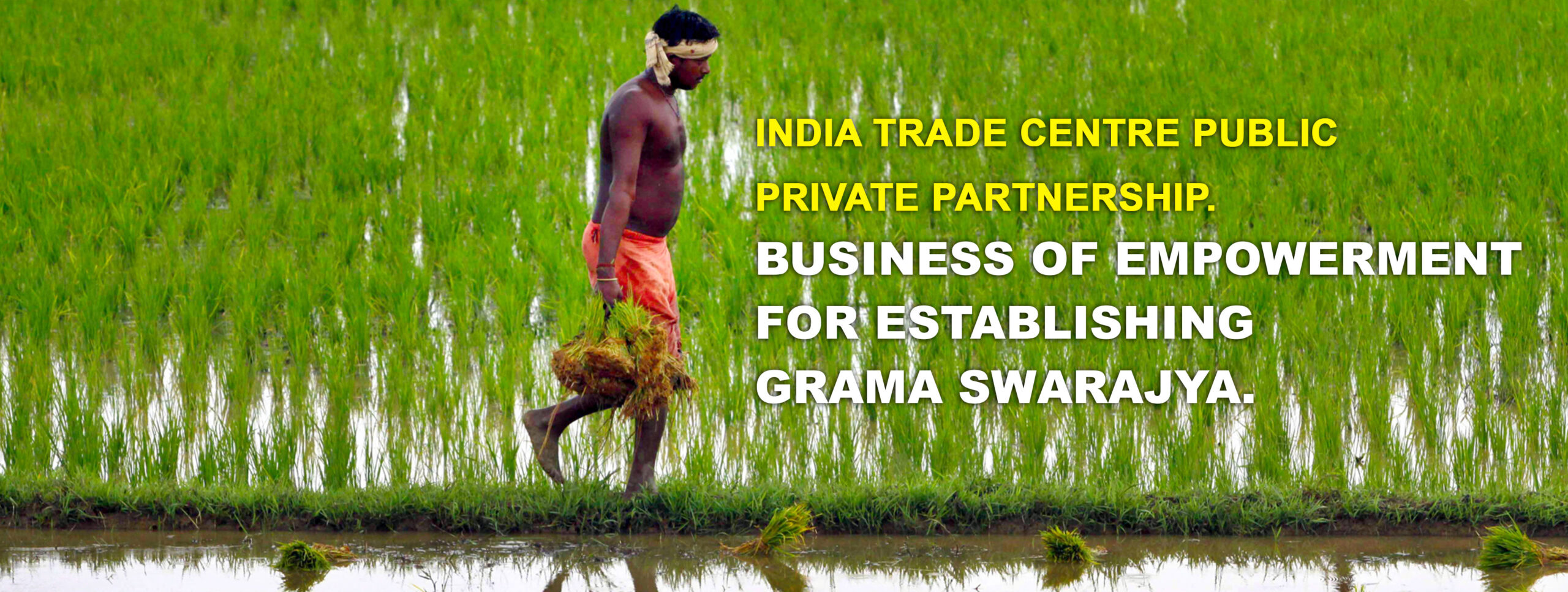 Indian business professionals
